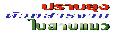 ปราบยุงด้วยสารจากใบสาบแมว